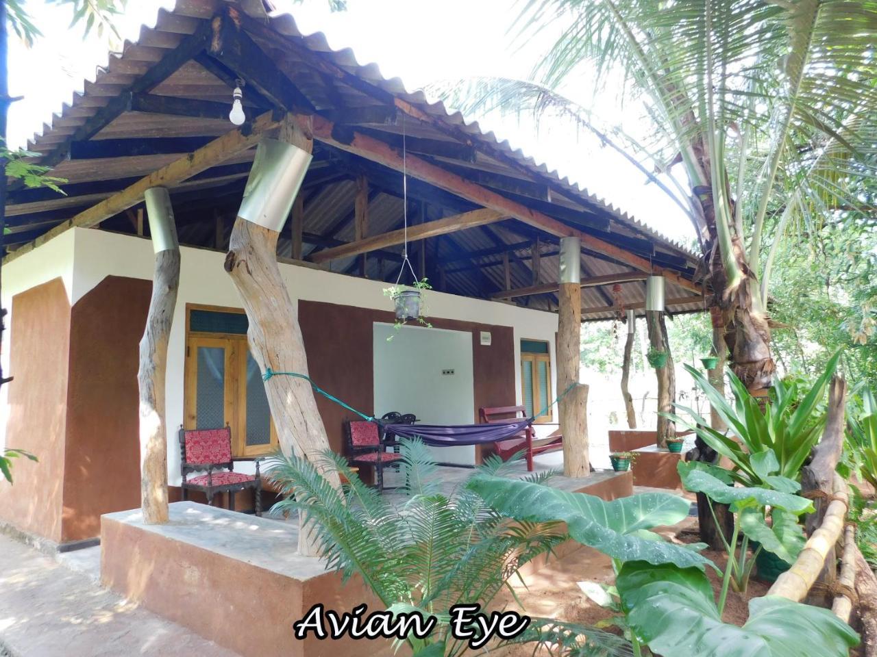 Yala Avian Eye Safari Apartamento Buttala Exterior foto