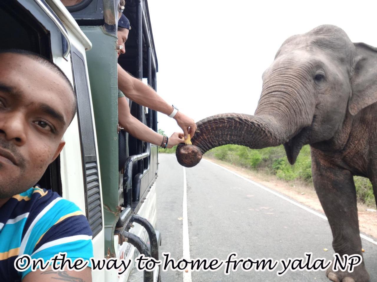 Yala Avian Eye Safari Apartamento Buttala Exterior foto