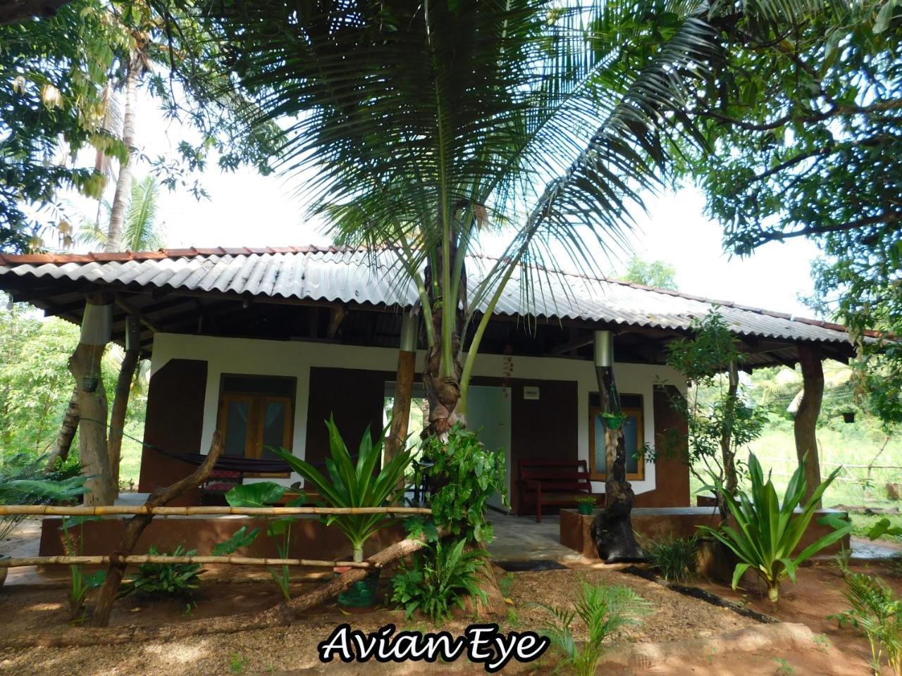 Yala Avian Eye Safari Apartamento Buttala Exterior foto